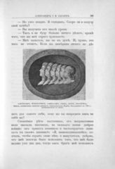 Александр, Константин, Александра, Елена, Мария, Екатерина Павловичи, Великие Князья в детстве