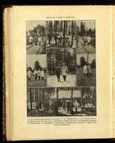 Царская ставка 1915 г. Щербатов, Кривошеин, Горемыкин, Барк, Поливанов, Сазонов, Шаховский, Харитонов, Рухлов