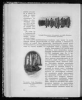 Николай II Александрович, Император, Фредерикс В. В., Граф ; Нилов