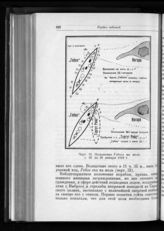 Положение Гебена на мели с 20 по 26 января 1918 г.