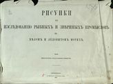 Т. 7 (прил.) : Рисунки к исследованию рыбных и звериных промыслов на Белом и Ледовитом морях. - 1863.
